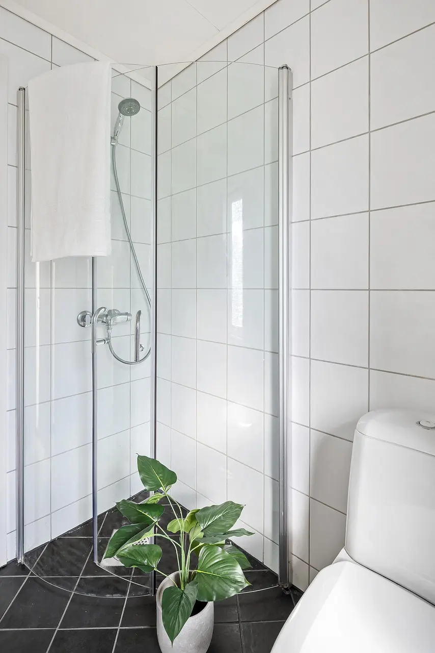 Bathroom — interior design nature contemporary plant