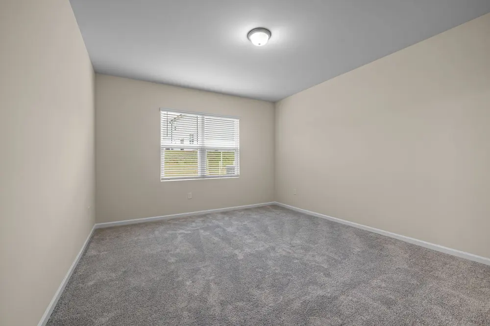 Carpet — bright empty room large window