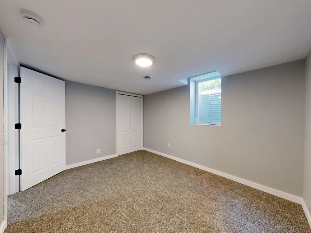 Carpet — bright empty room natural light